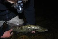 Bifogad bild: DSC_0693.JPG